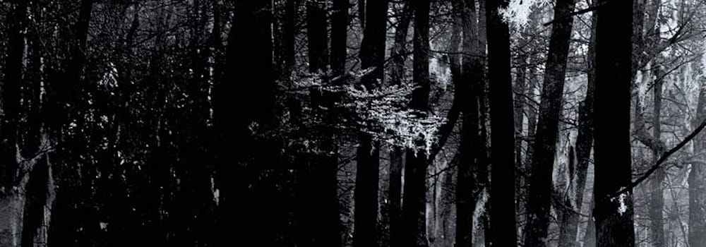 Tout ce qui meurt, Double dose