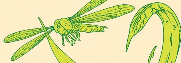 Annihilation, Camping et nature bizarre