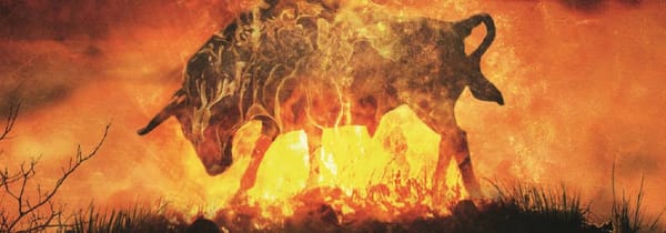 La bibliothèque de Mount Char, Apprendre dans la douleur