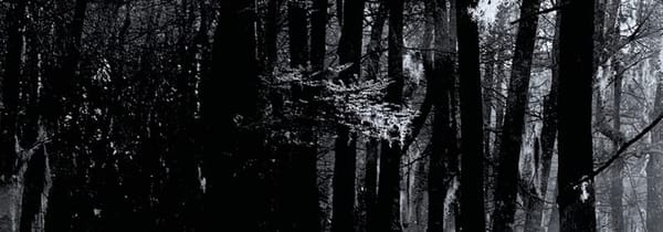 Tout ce qui meurt, Double dose